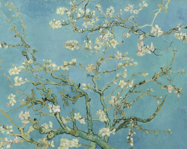 Amendoeira em flor
